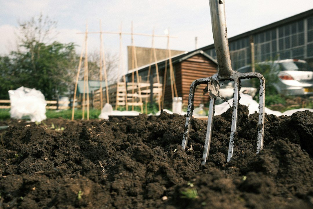 Dig Over and Manure an Empty Bed Before Winter