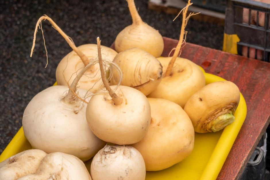 Lift and Store Turnips for Winter Keeping