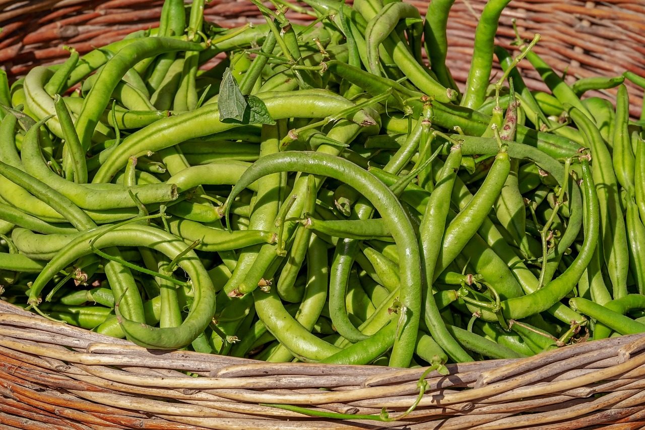 Blanch and Freeze a Glut of Runner or French Beans